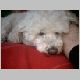 2002, june 4th - snuggling at master�s leg