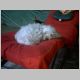 2003, september 8th - snoozing on the deck-chair