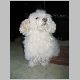 2004, february 23rd - fluffy fur