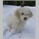 2004, february 28th - she loved snow as much as water